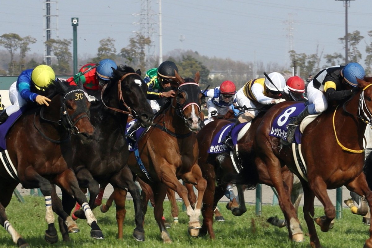 Fine Needle (left) wins the Takamatsunomiya Kinen. Photo: Kenneth Chan