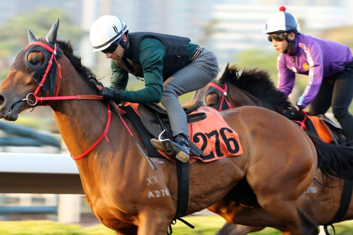Jolly Gains works at Sha Tin on Monday. Photo: Kenneth Chan