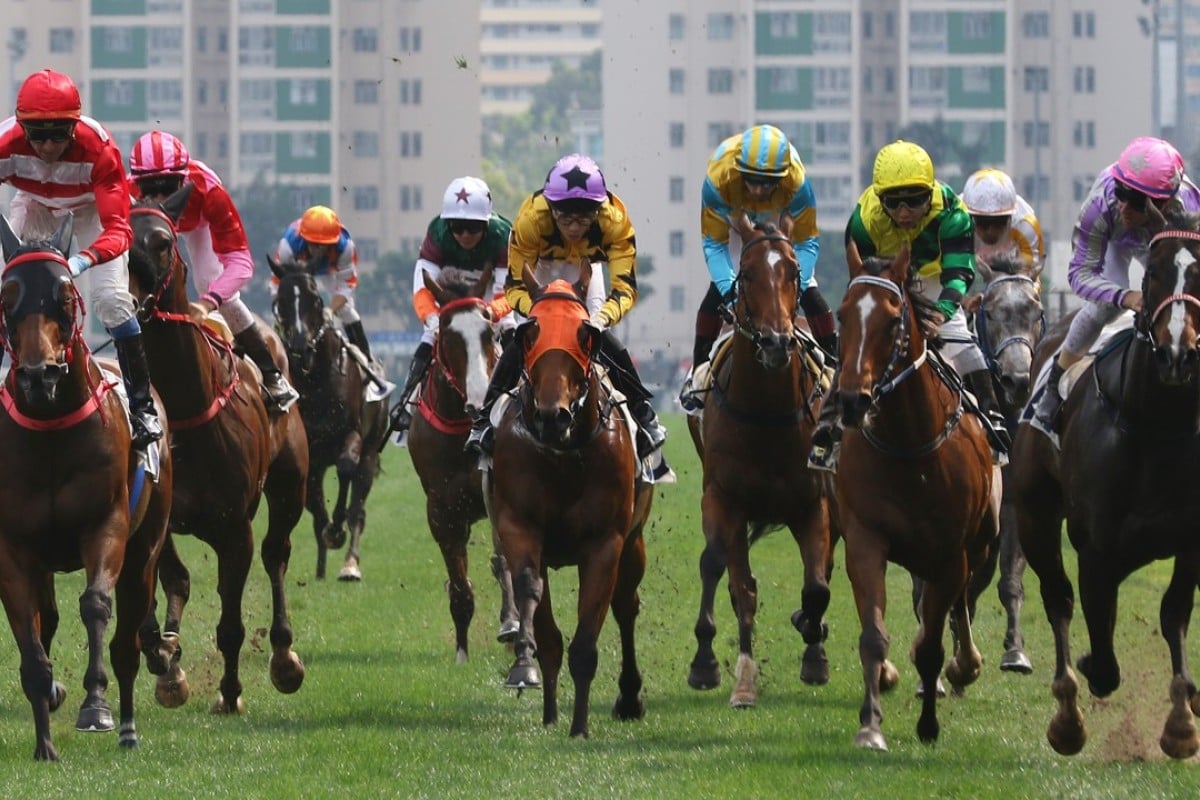 The Hong Kong Jockey Club runs a world-class operation at Sha Tin and says it is more than willing to assist Beijing in developing horse racing in Hainan. Photos: Kenneth Chan