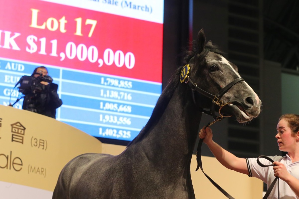 Lot 17 is sold for a record HK$11 million at the Hong Kong International Sale in March. Photos: Kenneth Chan