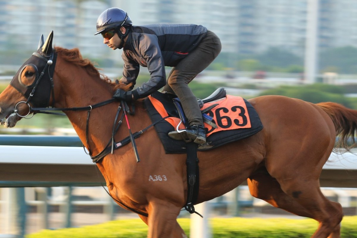 Joao Moreira gallops Amazing Satchmo. Photos: Kenneth Chan