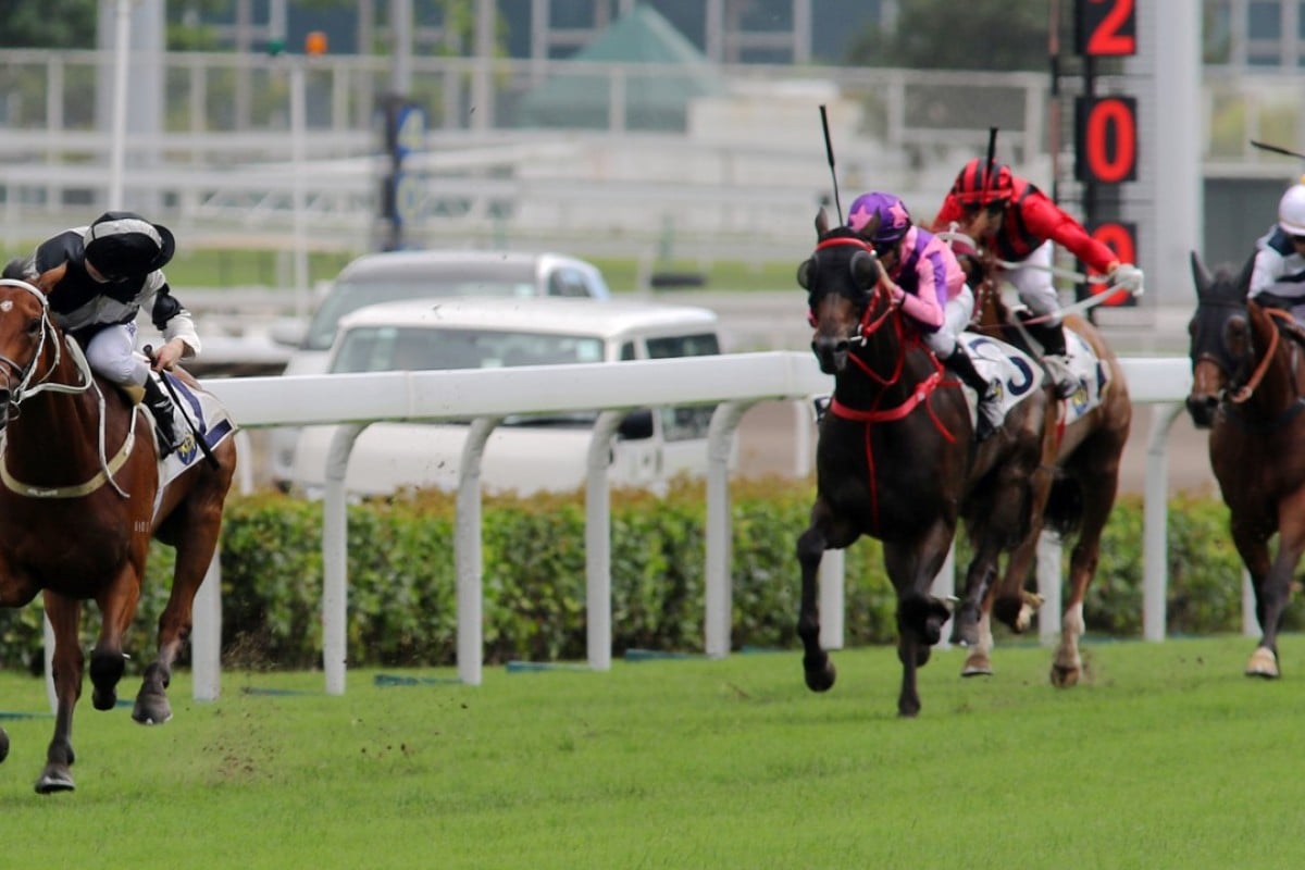 Where did they go? Zac Purton takes a peek over his shoulder as Exultant spanks his rivals to win by six lengths in the Queen Mother Memorial Cup at Sha Tin. Photos: Kenneth Chan