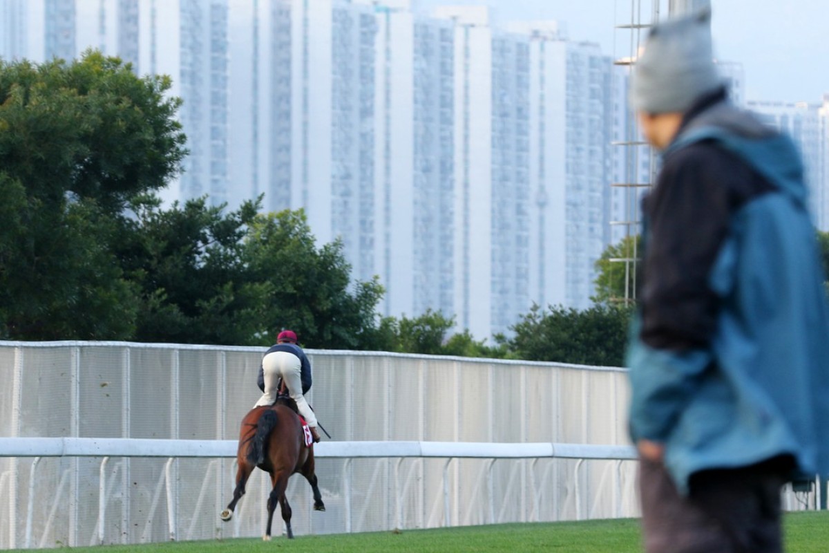 Michael Chang (right) watches Enjoyable Success at trackwork. Photo: Kenneth Chan