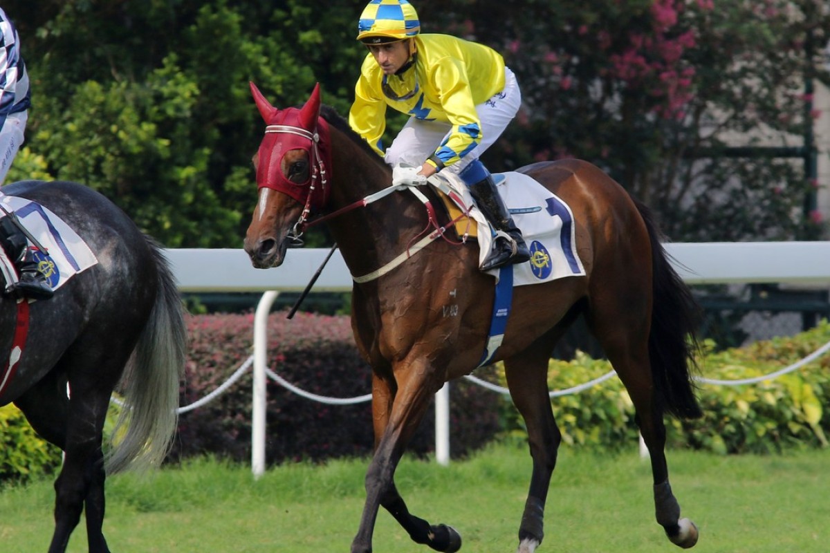 Jockey Douglas Whyte finishes sixth aboard Werther in the Lion Rock Trophy at Sha Tin. Photos: Kenneth Chan