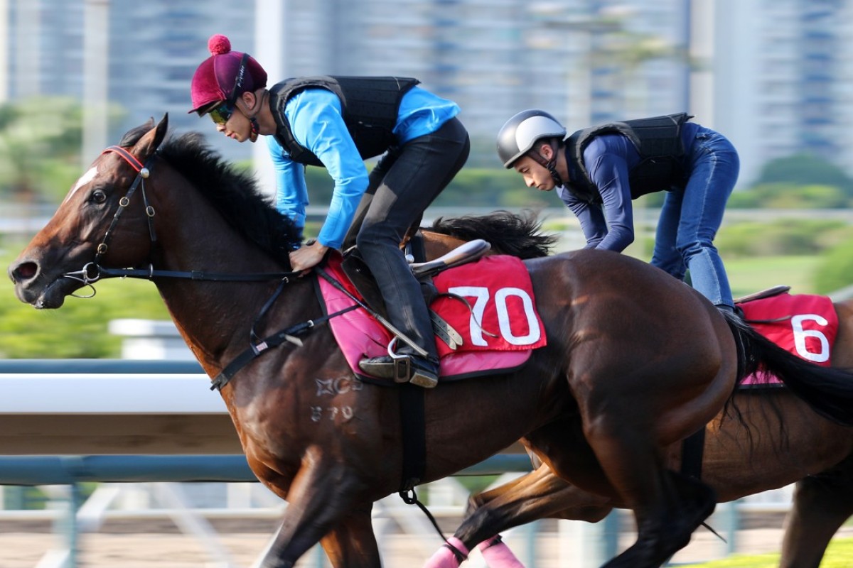 Derek Leung gallops Cordyceps at Sha Tin. Photo: Kenneth Chan