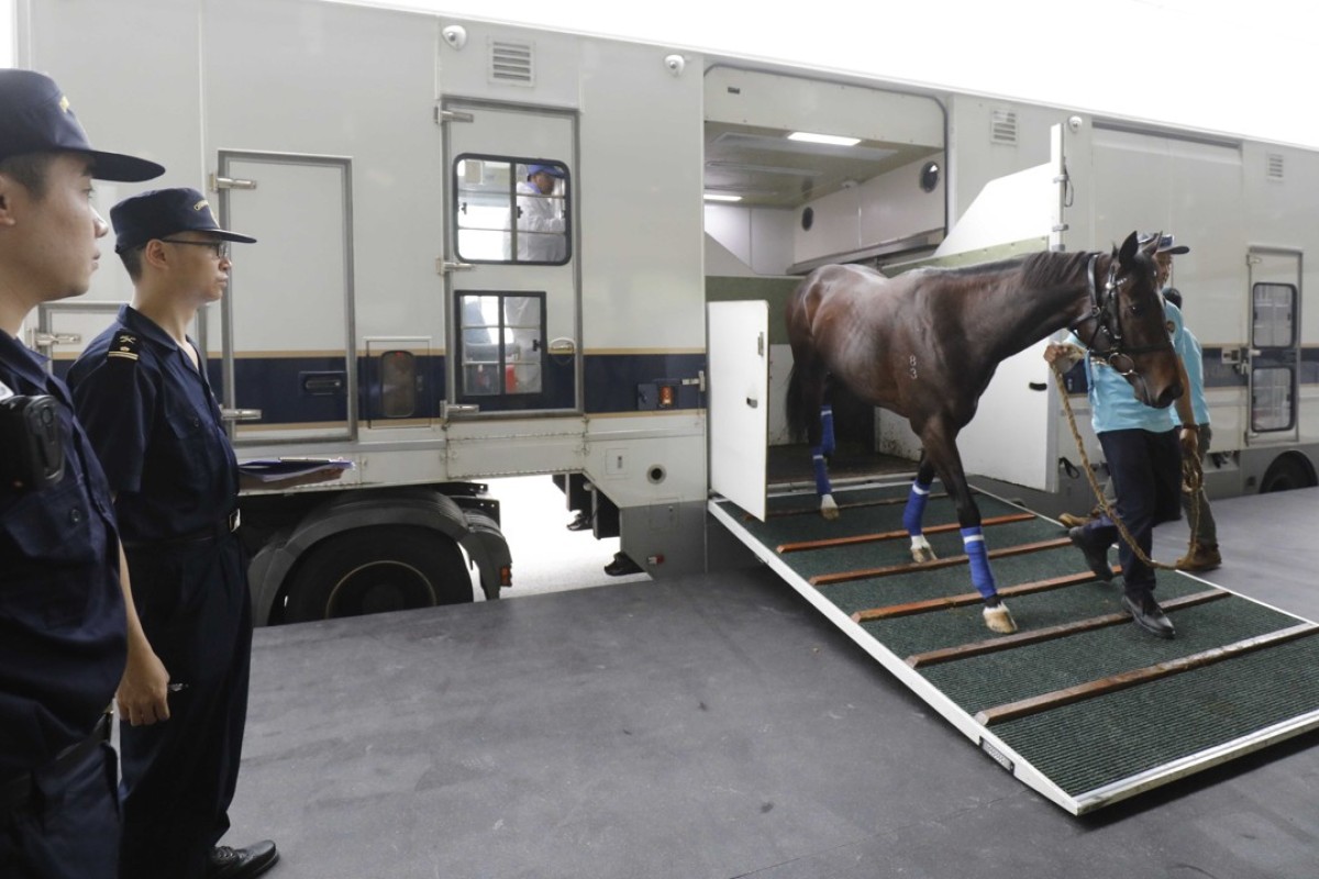 The first horses arrive at Conghua Training Centre on Tuesday. Photos: Hong Kong Jockey Club