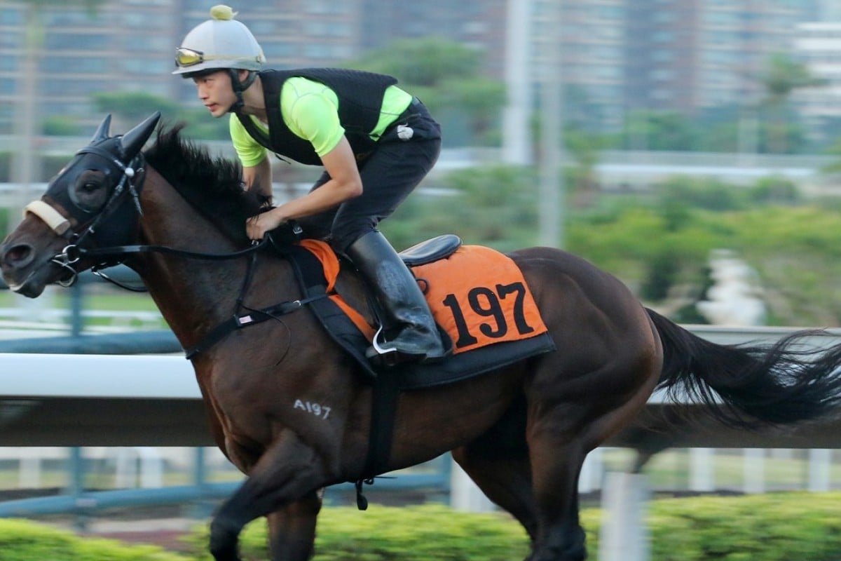 Open House gallops on the all-weather track. Photo: Kenneth Chan