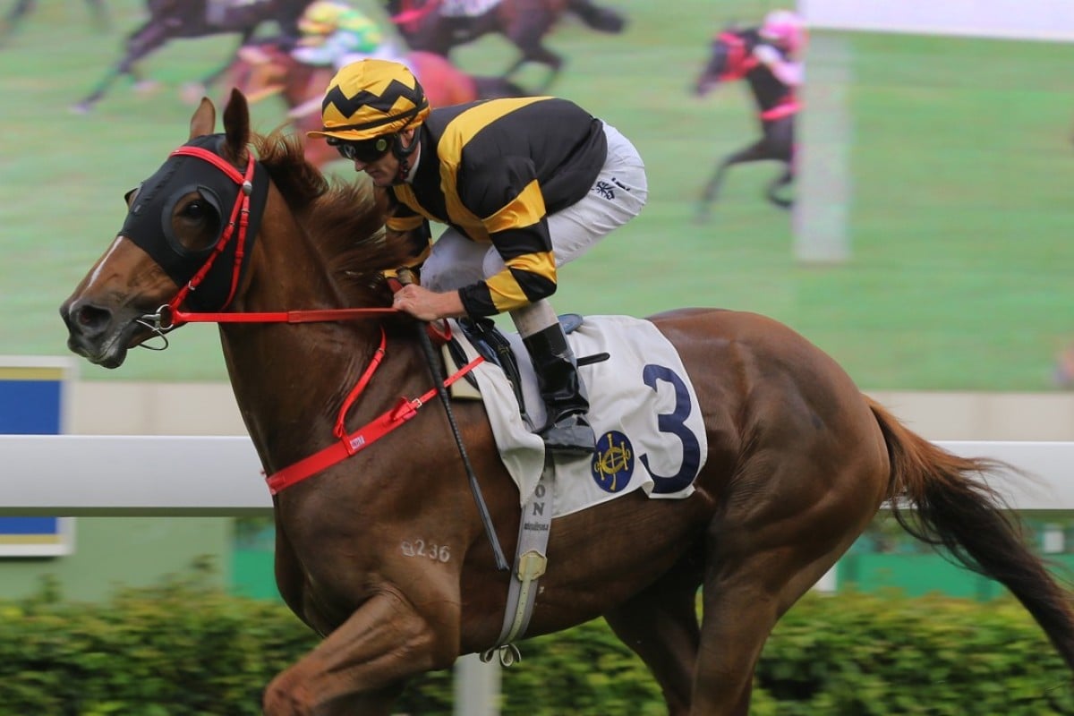 Glorious Forever cruises to a dominant victory at Sha Tin on Saturday. Photo: Kenneth Chan
