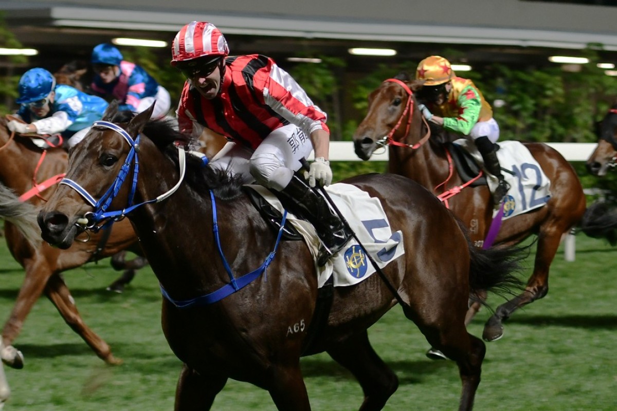 Sangria (Neil Callan) wins a Happy Valley in January. Photos: Kenneth Chan.