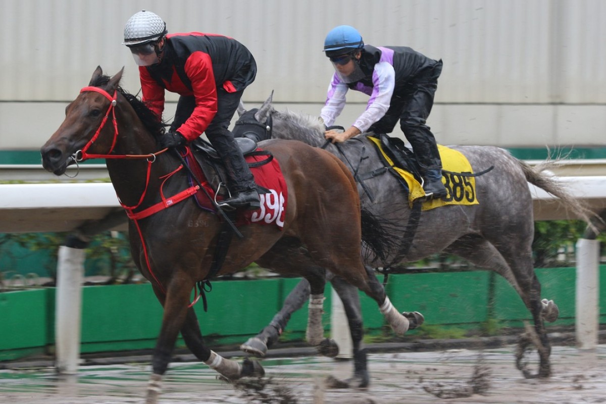 Zac Purton guides Country Star (left) to victory in a recent trial at Sha Tin. Photos: Kenneth Chan