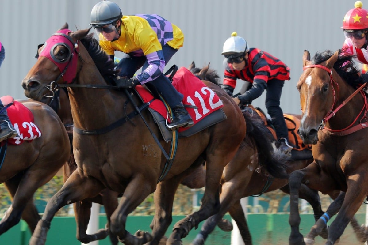 Easy Go Easy Win trials at Sha Tin last week with Zac Purton riding. Photos: Kenneth Chan