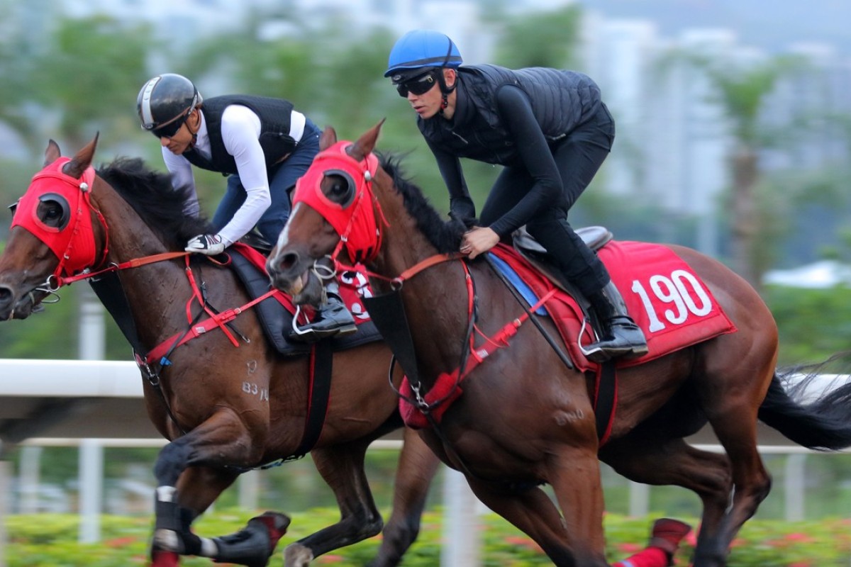 Golden Dash (right) gallops at Sha Tin with Callan Murray riding. Photos: Kenneth Chan