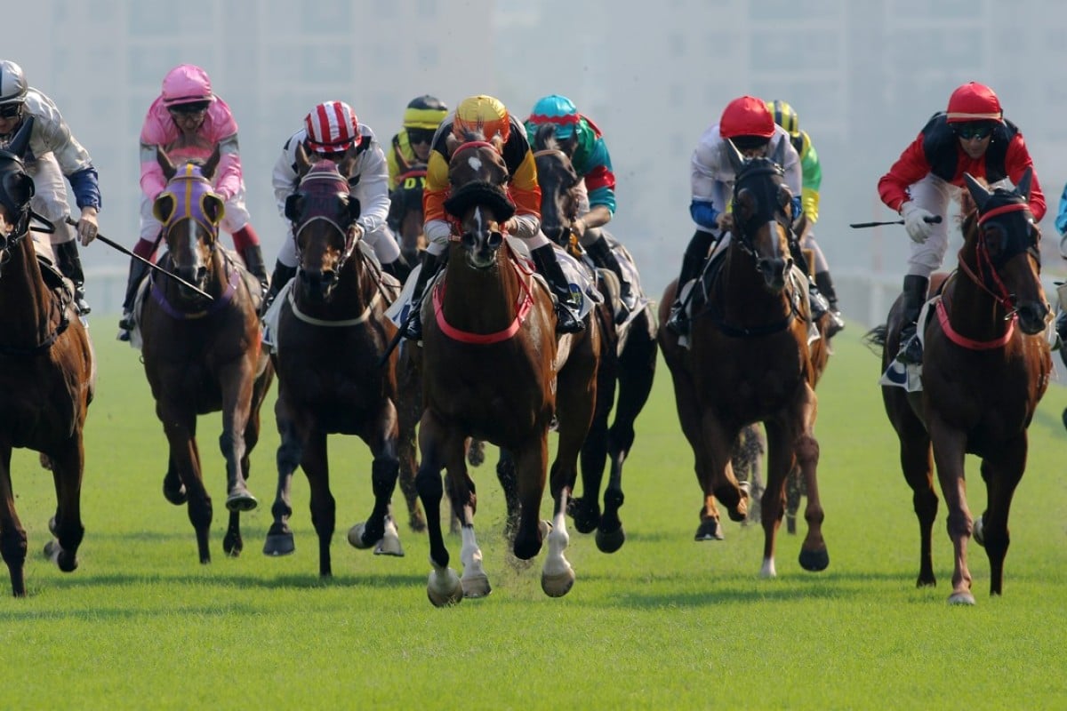 Horses racing up the straight. Photo: Kenneth Chan