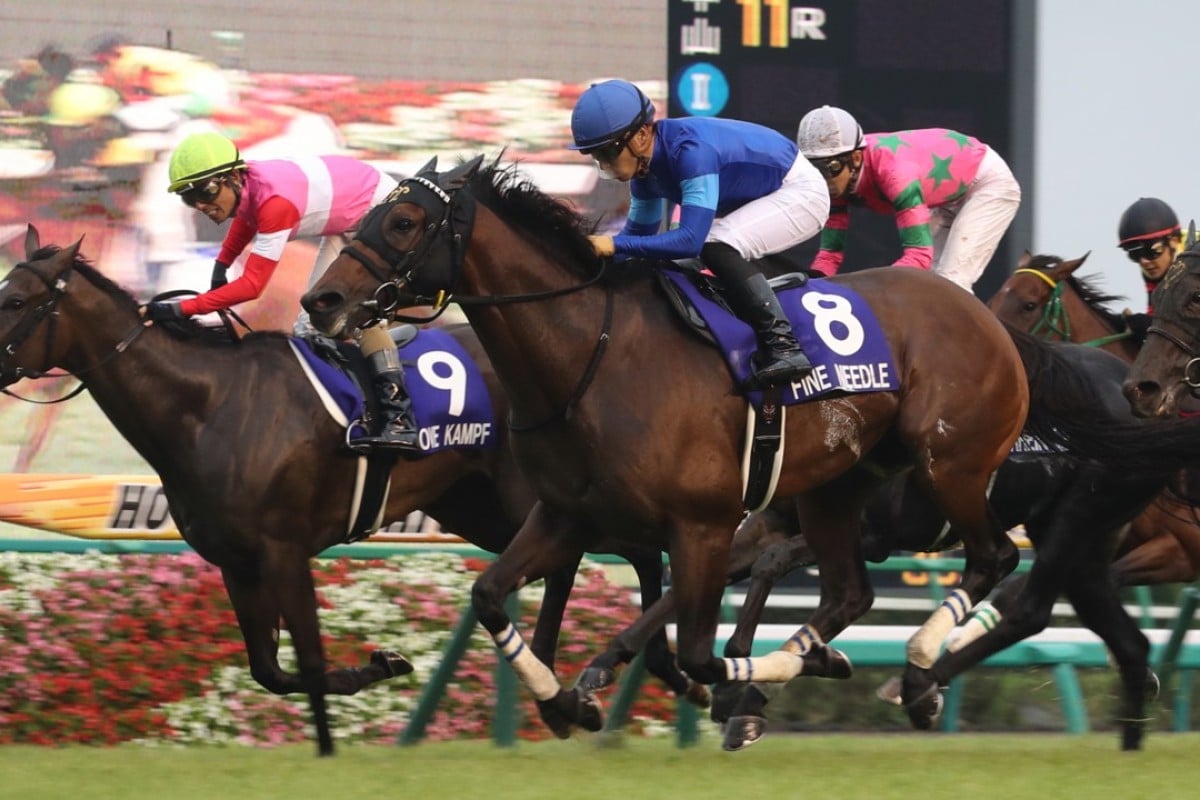 Fine Needle wins the Group One Sprinters Stakes at Nakayama in September. Photos: Kenneth Chan