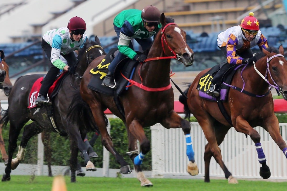 Glorious Spectrum (second from right) gallops during one of his trials. Photos: Kenneth Chan