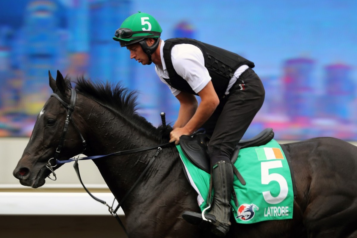 Hong Kong Vase runner Latrobe gallops at Sha Tin. Photos: Kenneth Chan