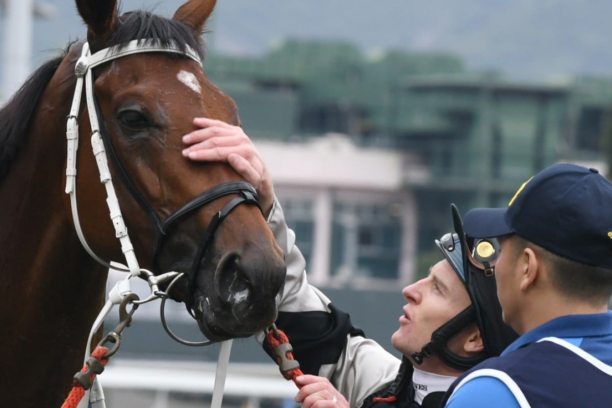 Zac Purton gives Exultant a pat after winning the Longines Hong Kong Vase. Photo: Kenneth Chan