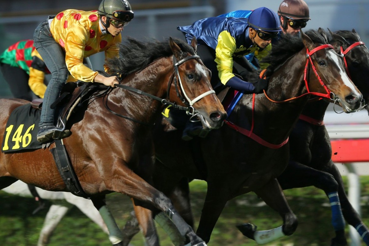 Alexis Badel (gold silks) trials Gold Chest in a 1,000m Sha Tin turf trial last month. Photos: Kenneth Chan.