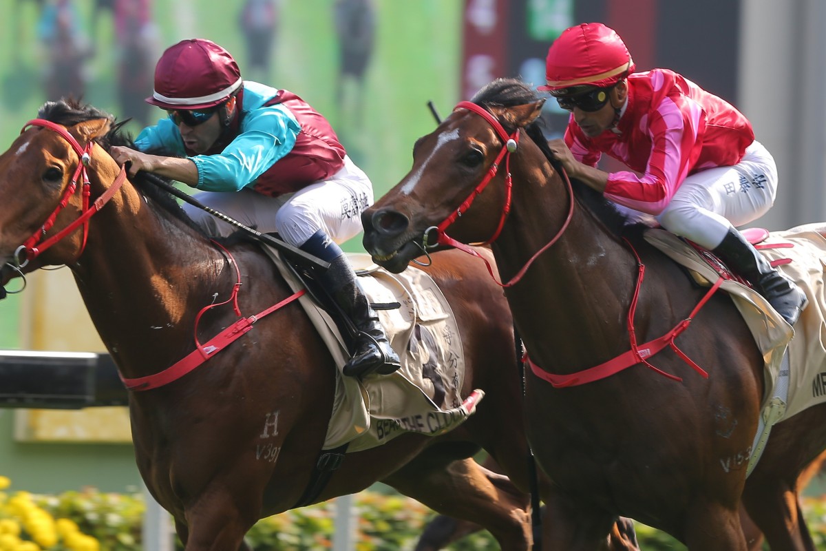 Beat The Clock (inside) holds off Mr Stunning in the Group One Centenary Sprint Cup at Sha Tin on Sunday. Photos: Kenneth Chan