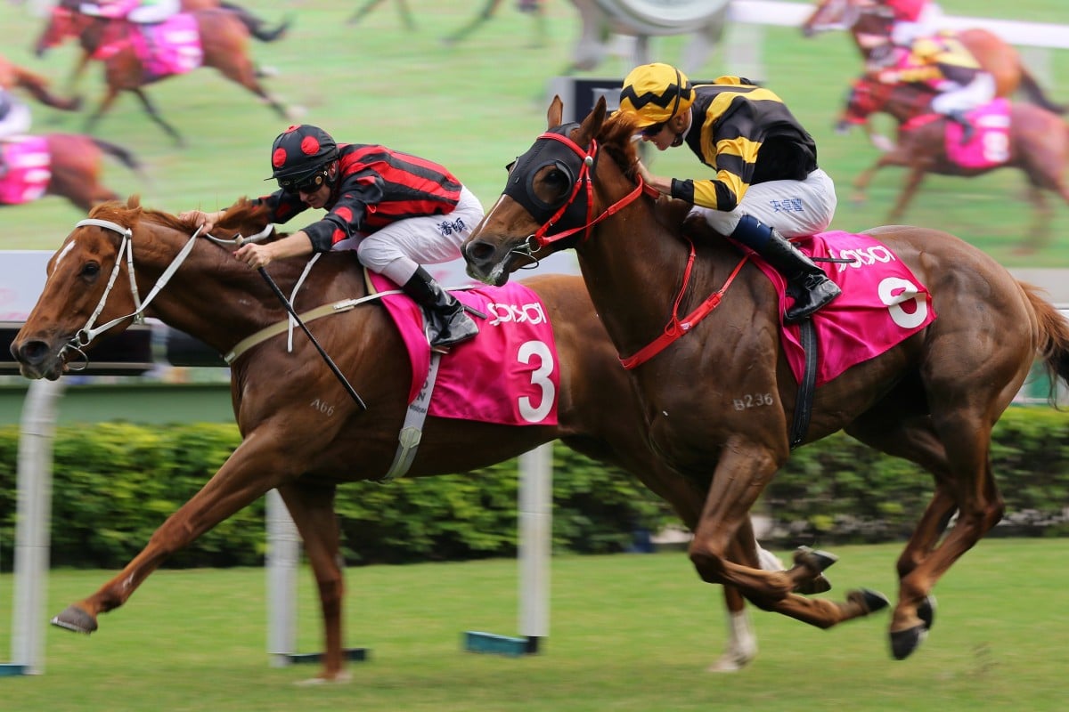 Time Warp beats home Glorious Forever in the Sa Sa Ladies’ Purse. Photos: Kenneth Chan