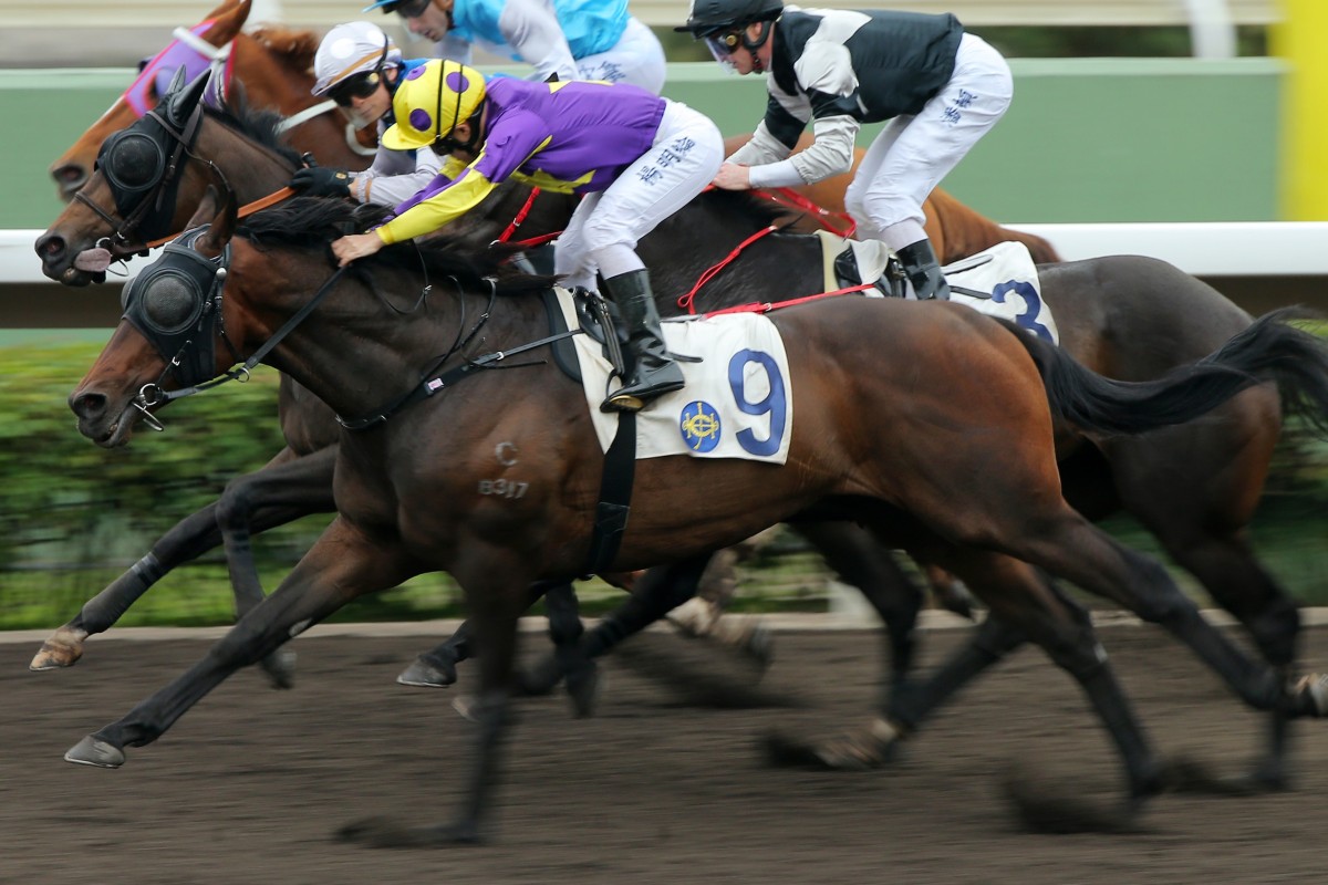 Keith Yeung guides Mongolian Legend to victory in January. Photos: Kenneth Chan