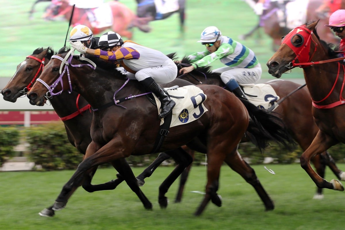 Zac Purton lifts Solar Wai Wai (inside) to victory at Sha Tin on Thursday. Photos: Kenneth Chan