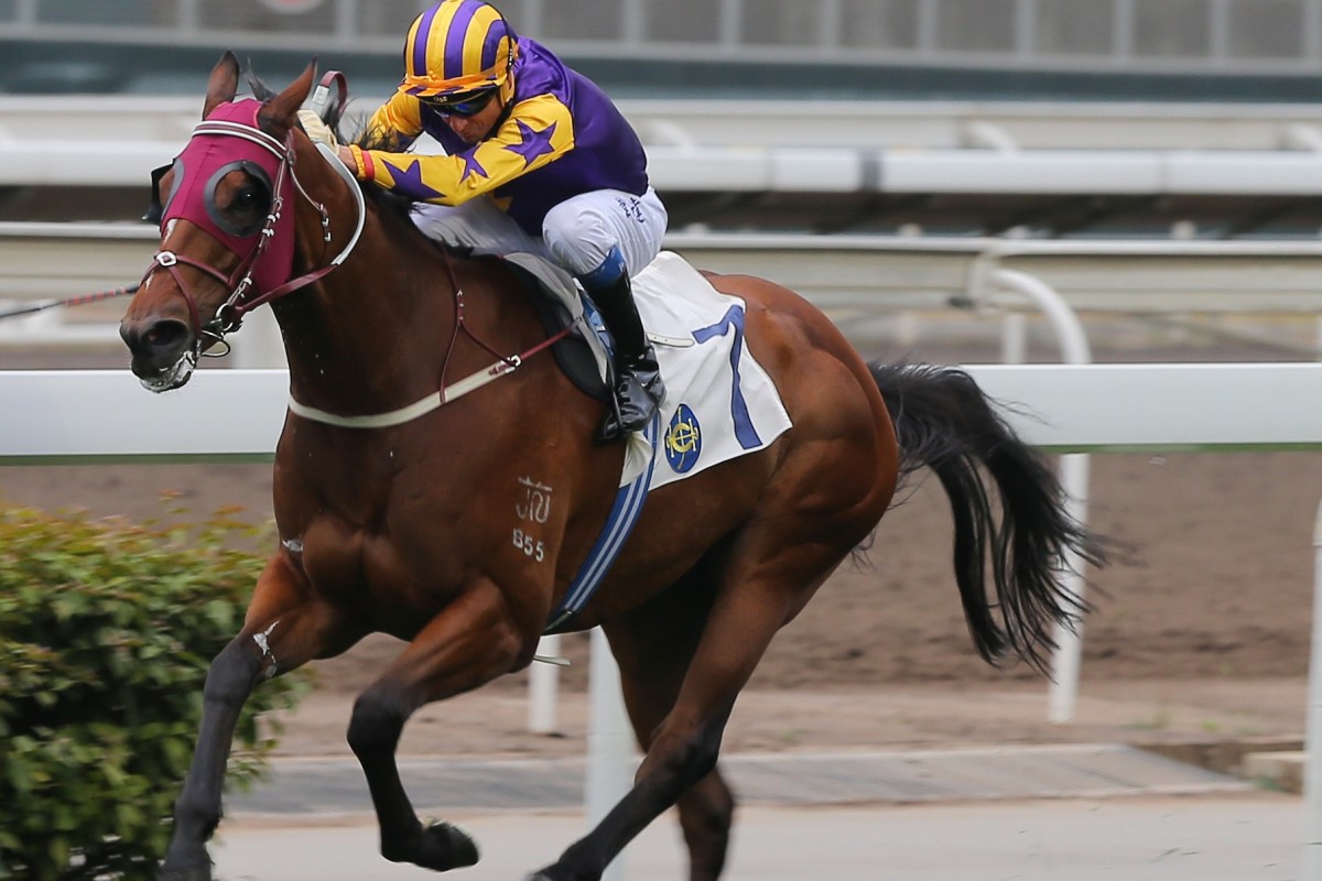 Retiring Douglas Whyte races clear on Storm Signal (inside) only to be chased down by Lean Perfection (outside). Photos: Kenneth Chan