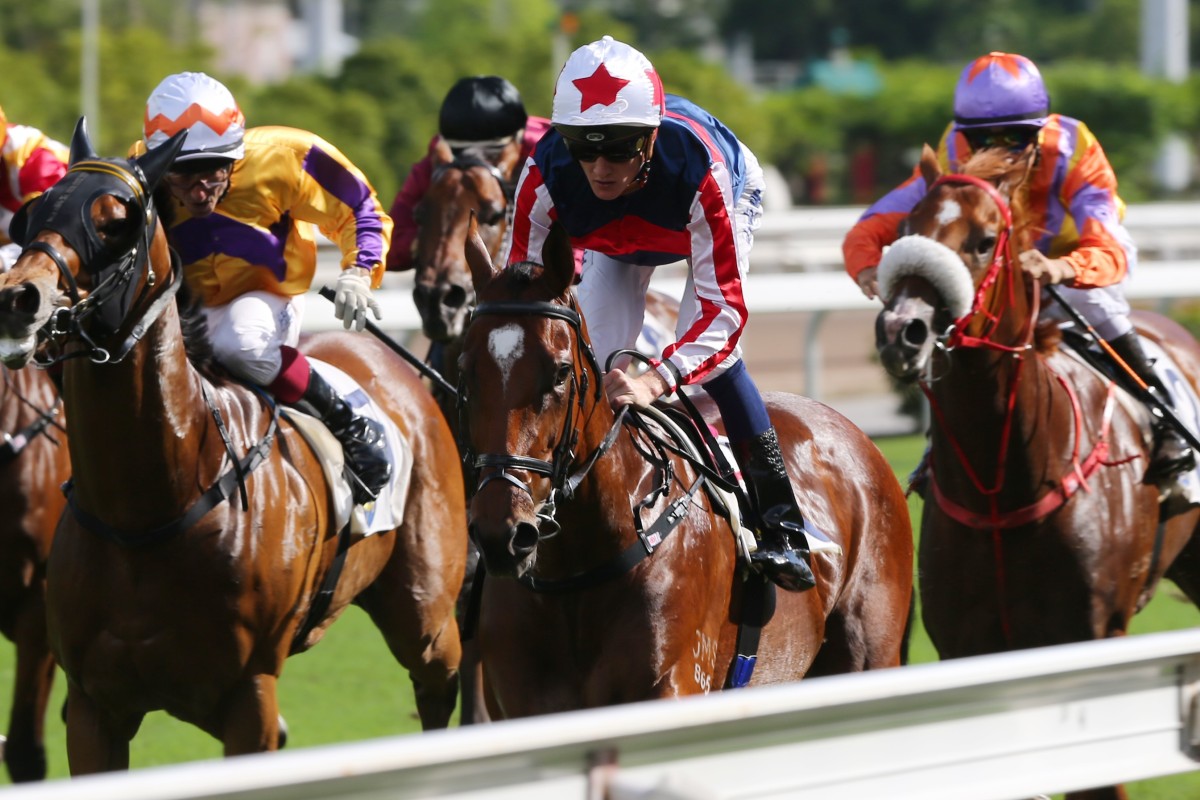 Refined Treasure returns to the Sha Tin straight on Sunday. Photos: Kenneth Chan