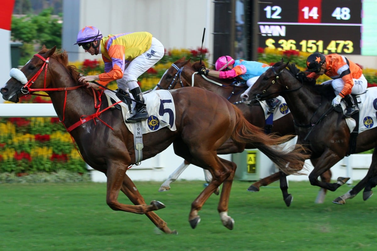 Superich salutes at Sha Tin in October. Photos: Kenneth Chan