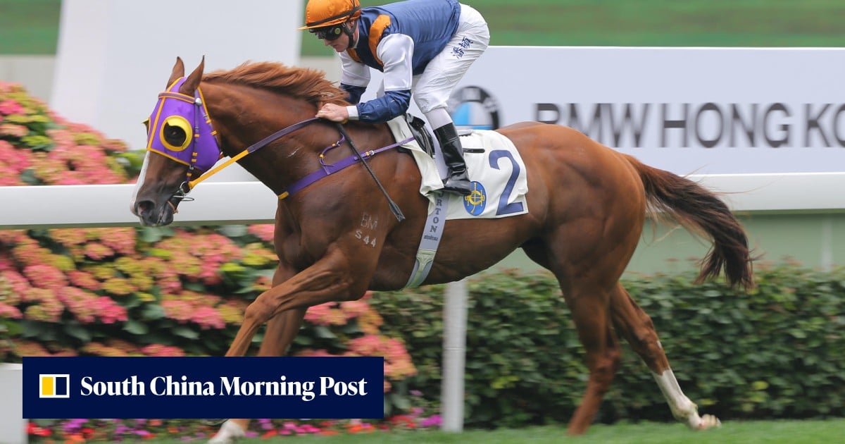 Number 1s Racing Numero Uno number one but the race looks a good future pointer | HK ...