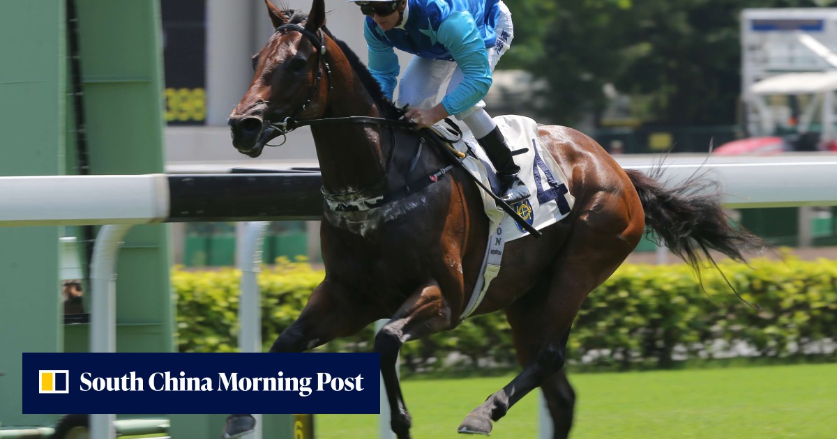 HK$8.5 million horse Jing Jing Win on a potential Hong Kong Derby trail ...