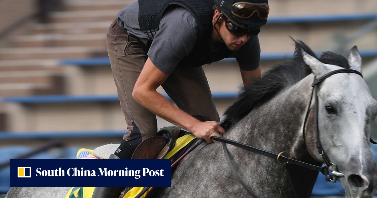 HKIR fields remain intact, despite concerns over Pure Sensation and One ...