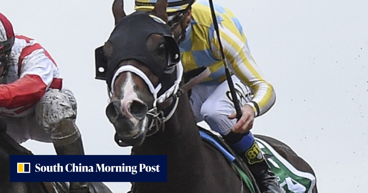 No USA Triple Crown winner this year, but big names dominate UK | HK ...