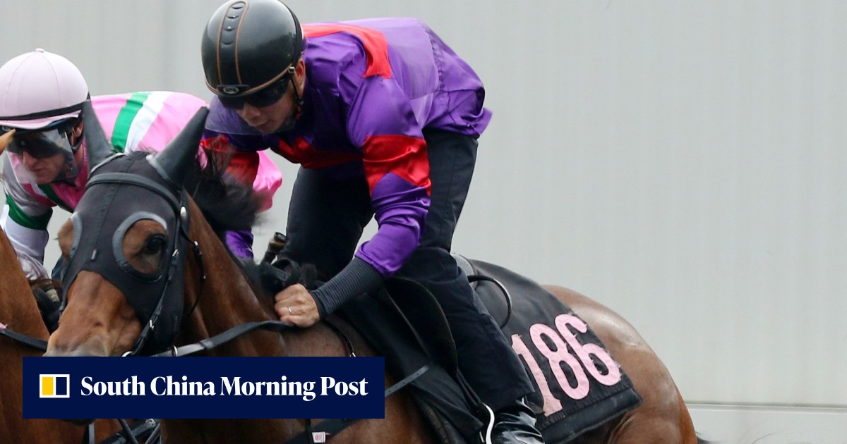 Fight Hero to face Sha Tin all-weather track acid test before chasing ...