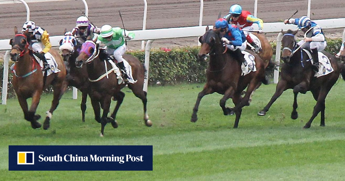 How Outlaw Betting Exchange Citibet Is Helping Spur A Hk 560 Billion Illegal Gambling Market In China Hk Racing South China Morning Post