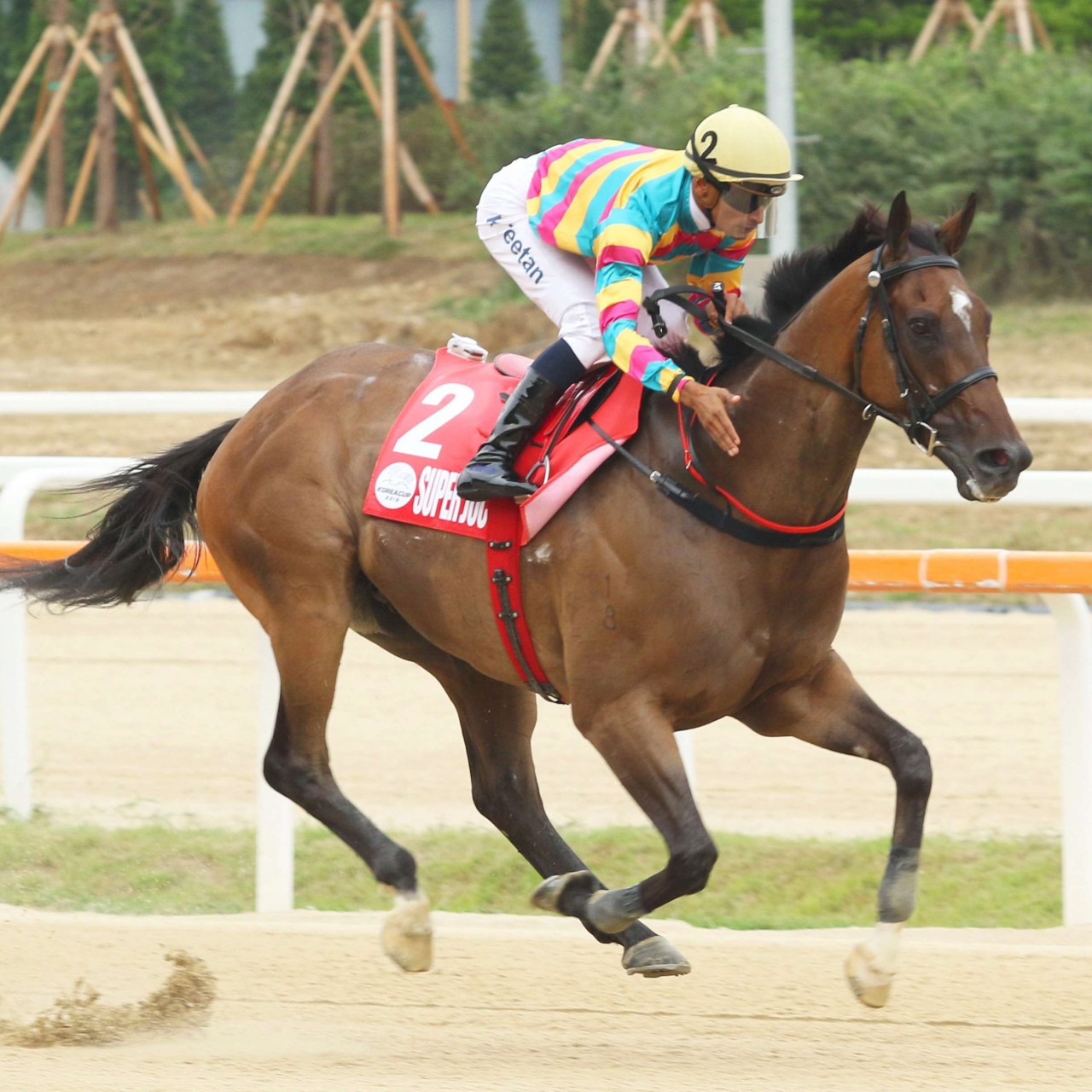 Hong Kong Jockey Club To Focus On Customers China And