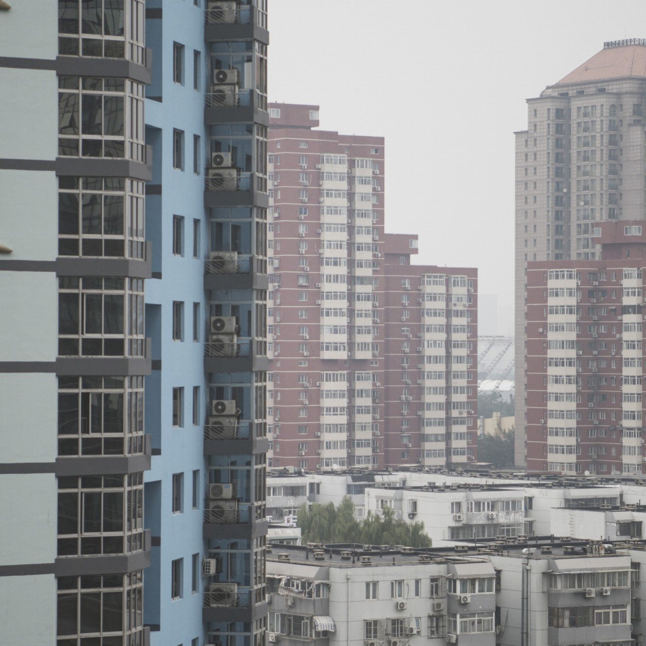 Can Xi Jinping Head Off The Grey Rhinos In Chinas Economy - 