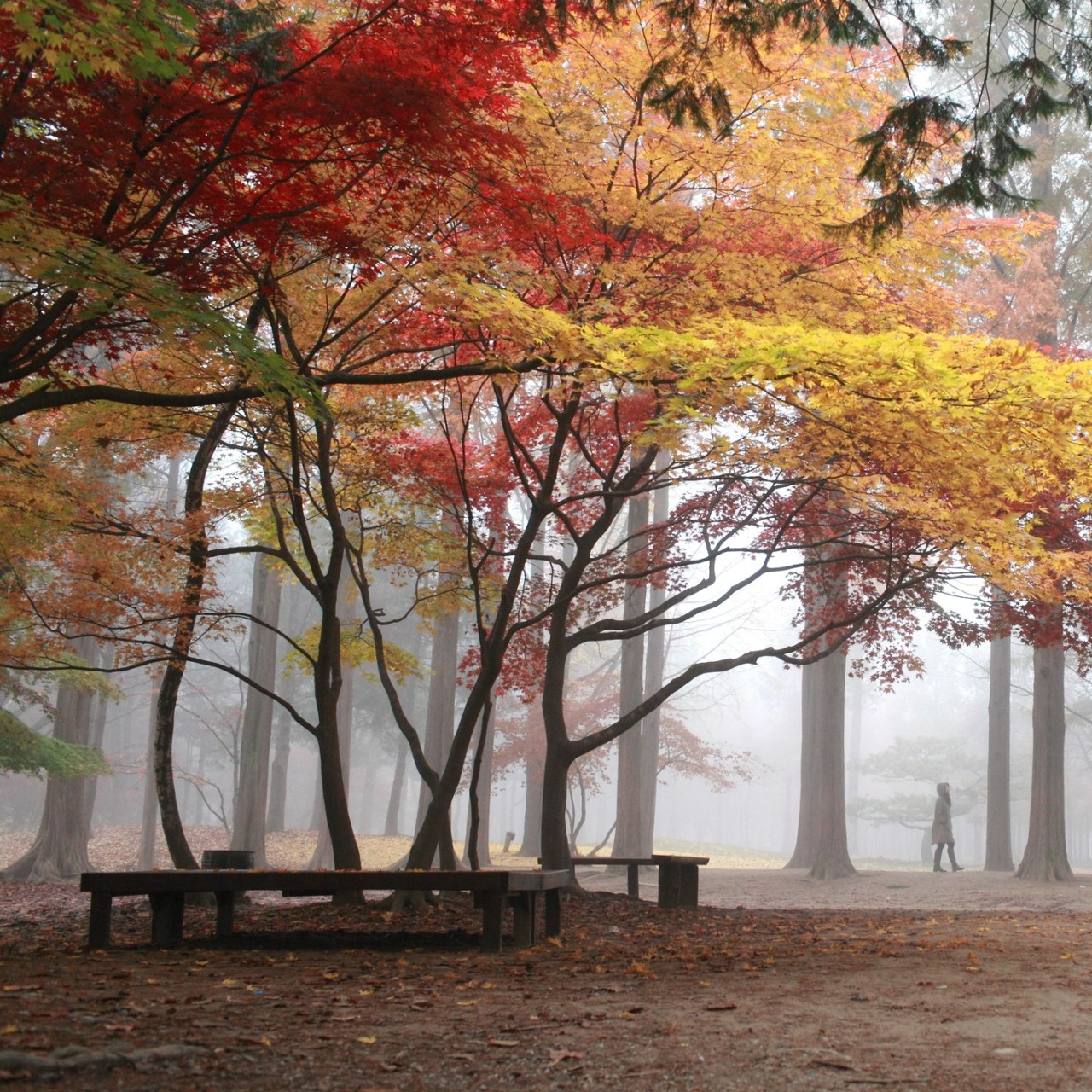 Nami Island From Winter Sonata And 4 Other Must Visit K Drama Tv Locations South China Morning Post